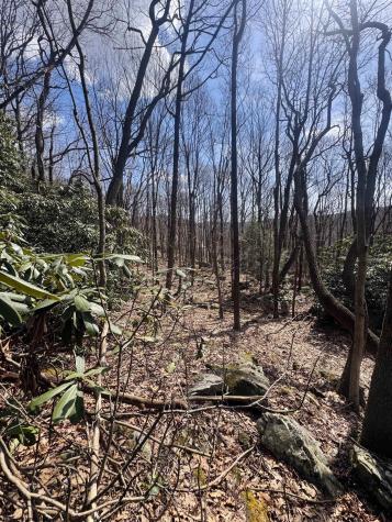 2000 Kingwood Pike Morgantown WV 26508
