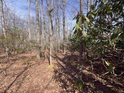 2000 Kingwood Pike Morgantown WV 26508