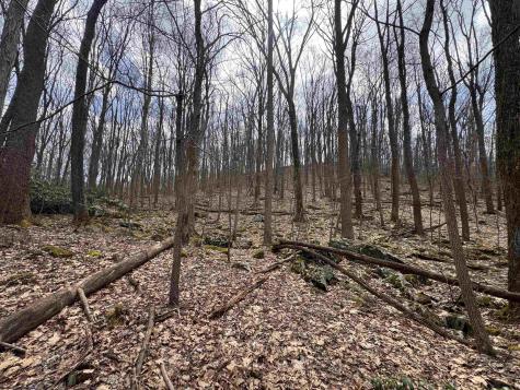 2000 Kingwood Pike Morgantown WV 26508