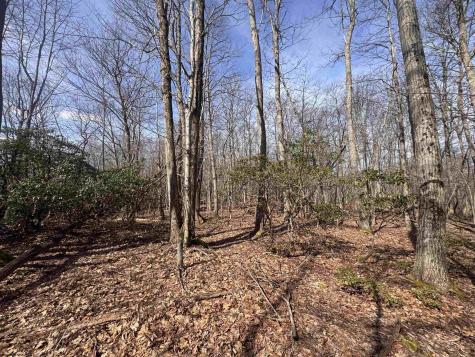 2000 Kingwood Pike Morgantown WV 26508