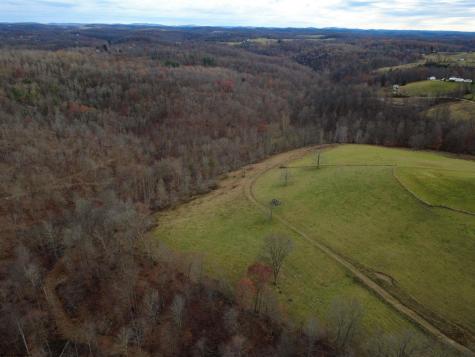 9505 Route 20 South Road French Creek WV 26218-9999