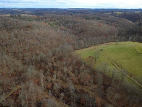 9505 Route 20 South Road French Creek WV 26218-9999