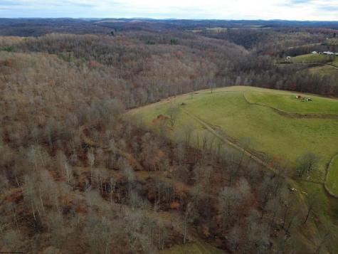 9505 Route 20 South Road French Creek WV 26218-9999