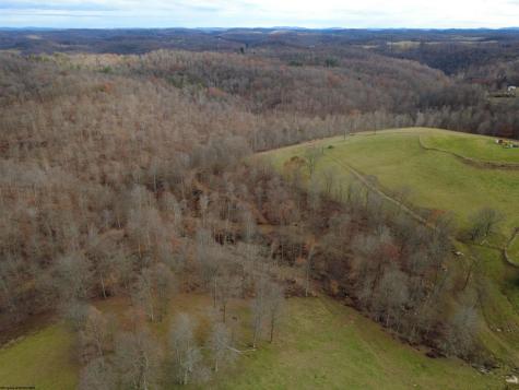 9505 Route 20 South Road French Creek WV 26218-9999