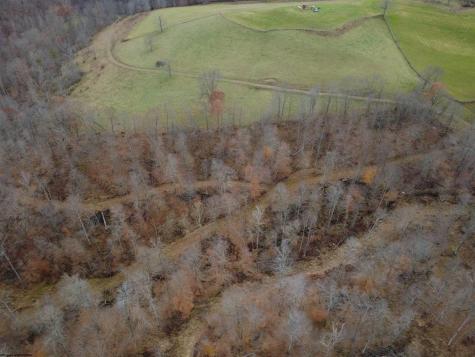 9505 Route 20 South Road French Creek WV 26218-9999