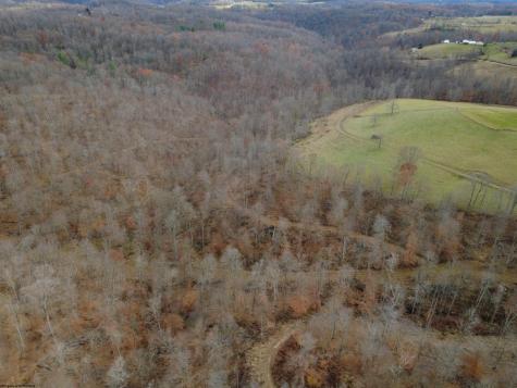 9505 Route 20 South Road French Creek WV 26218-9999