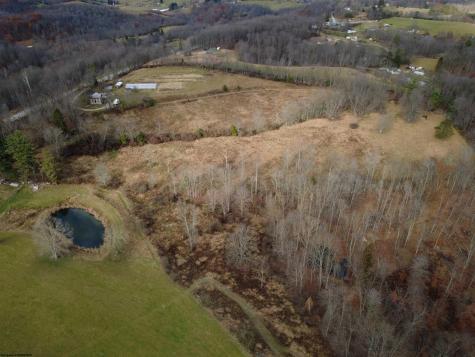 9505 Route 20 South Road French Creek WV 26218-9999