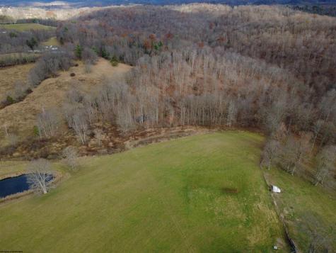 9505 Route 20 South Road French Creek WV 26218-9999