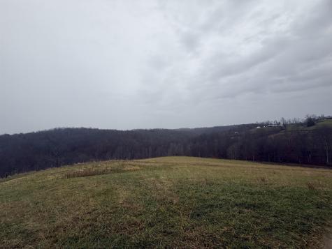 9505 Route 20 South Road French Creek WV 26218-9999
