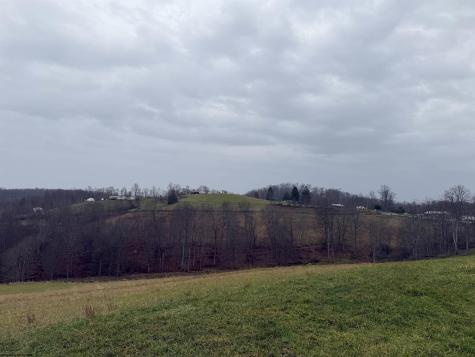 9505 Route 20 South Road French Creek WV 26218-9999