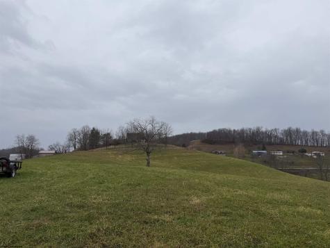 9505 Route 20 South Road French Creek WV 26218-9999