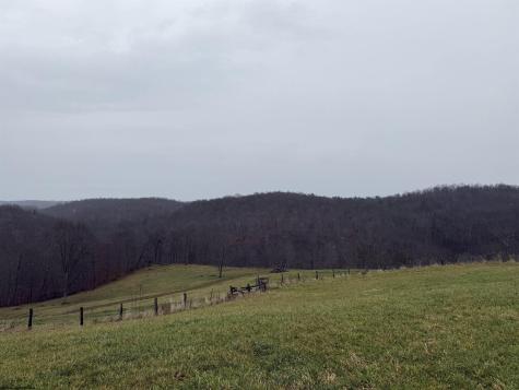 9505 Route 20 South Road French Creek WV 26218-9999