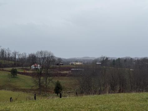 9505 Route 20 South Road French Creek WV 26218-9999