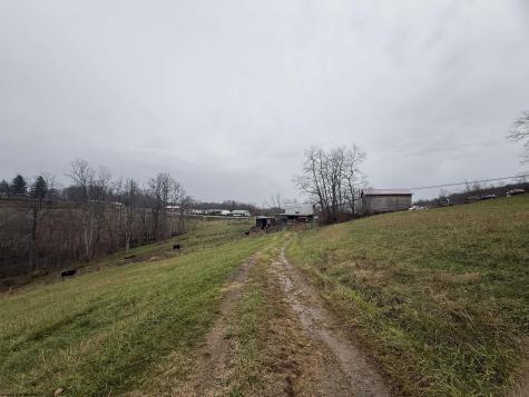 9505 Route 20 South Road French Creek WV 26218-9999