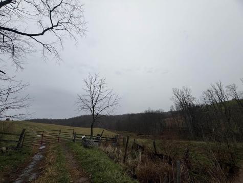 9505 Route 20 South Road French Creek WV 26218-9999