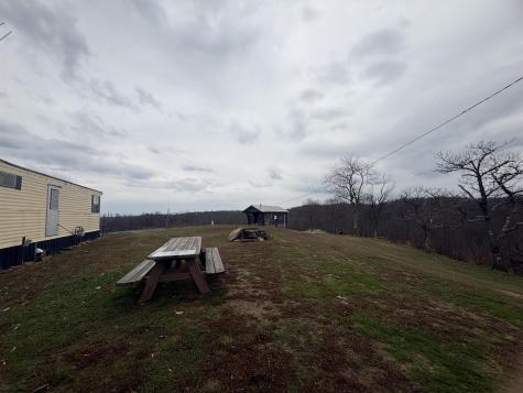 9505 Route 20 South Road French Creek WV 26218-9999