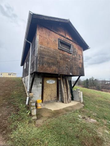 9505 Route 20 South Road French Creek WV 26218-9999