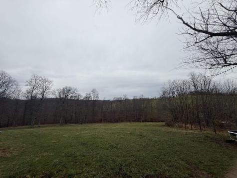 9505 Route 20 South Road French Creek WV 26218-9999