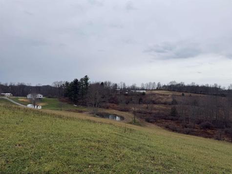 9505 Route 20 South Road French Creek WV 26218-9999