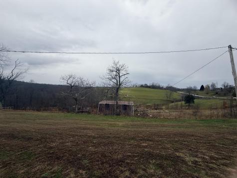 9505 Route 20 South Road French Creek WV 26218-9999