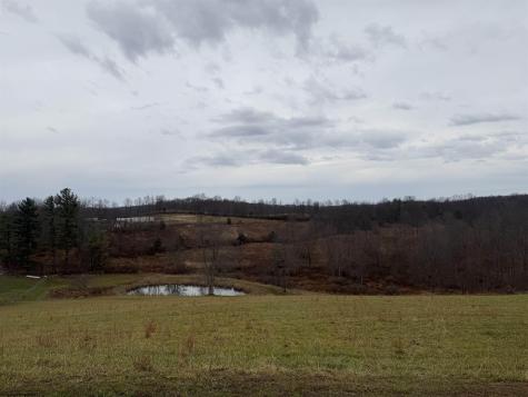 9505 Route 20 South Road French Creek WV 26218-9999