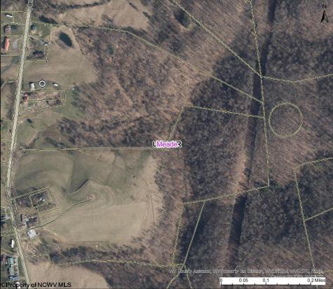 9505 Route 20 South Road French Creek WV 26218-9999