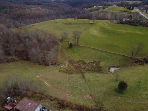 9505 Route 20 South Road French Creek WV 26218-9999