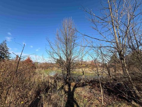 0 Beverly Pike Elkins WV 26241