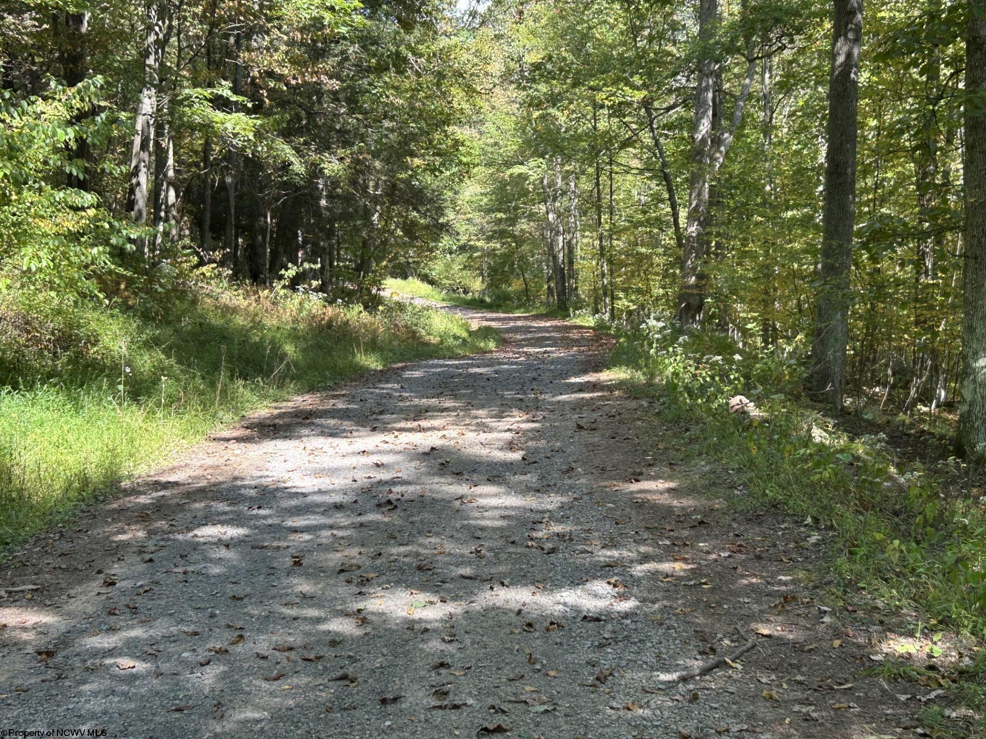 1 Possum Hollow Road Terra Alta WV 26764