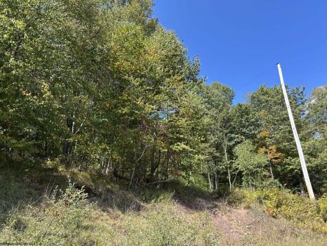 1 Possum Hollow Road Terra Alta WV 26764