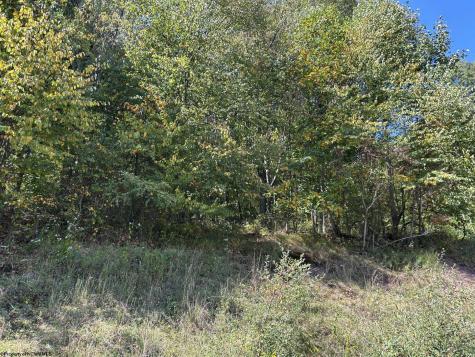 1 Possum Hollow Road Terra Alta WV 26764