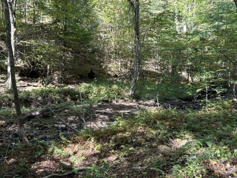 1 Possum Hollow Road Terra Alta WV 26764