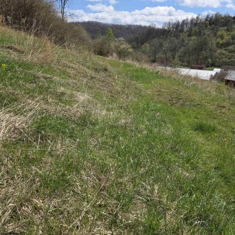 0 Simpson Run Road Weston WV 26452