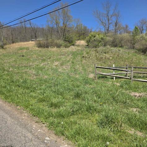 TBD Simpson Run Road Weston WV 26452