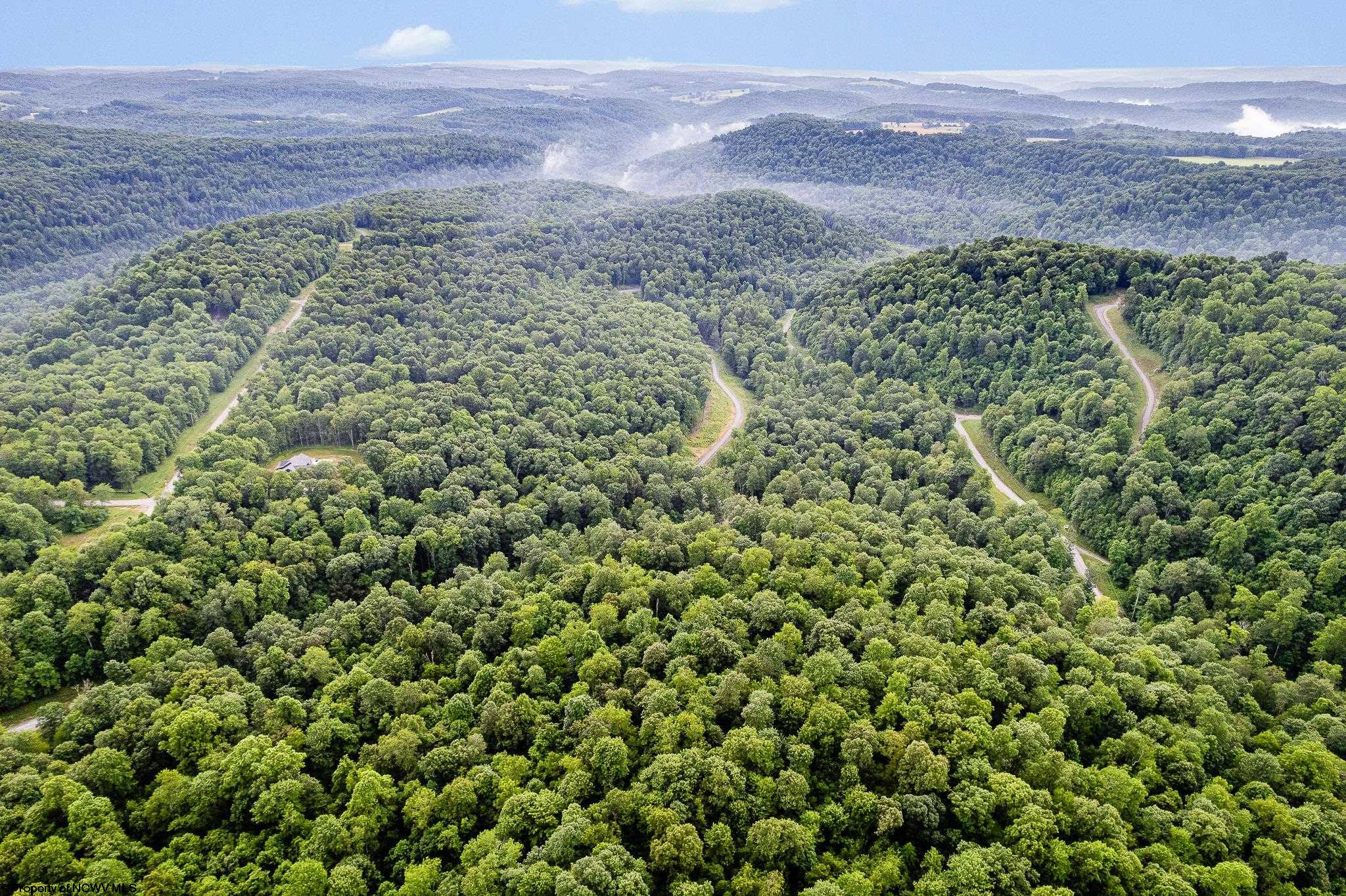 82 Whitewater Parkway Bruceton Mills WV 26525