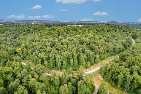 82 Whitewater Parkway Bruceton Mills WV 26525