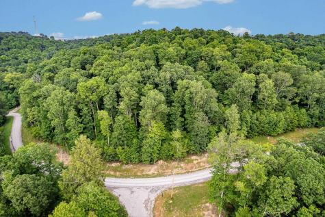 82 Whitewater Parkway Bruceton Mills WV 26525