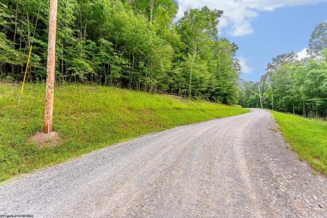 82 Whitewater Parkway Bruceton Mills WV 26525