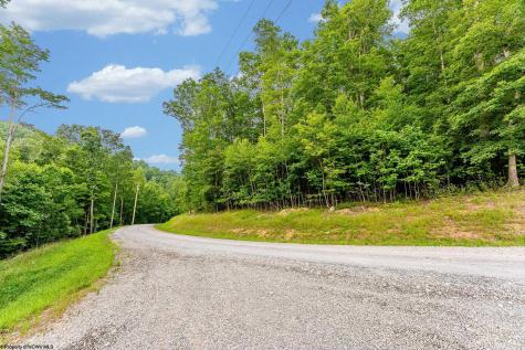 82 Whitewater Parkway Bruceton Mills WV 26525