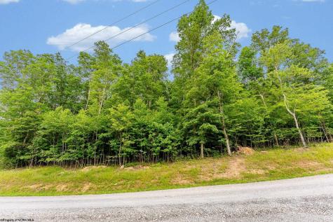 82 Whitewater Parkway Bruceton Mills WV 26525