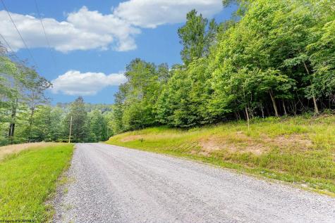 82 Whitewater Parkway Bruceton Mills WV 26525