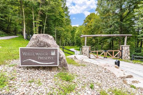 82 Whitewater Parkway Bruceton Mills WV 26525