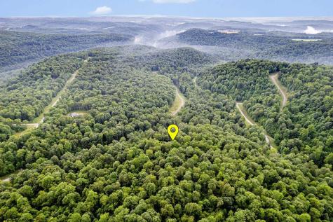 82 Whitewater Parkway Bruceton Mills WV 26525