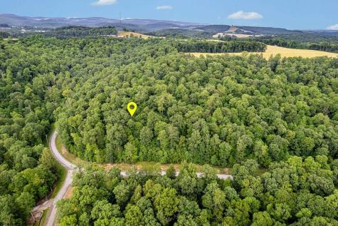 82 Whitewater Parkway Bruceton Mills WV 26525