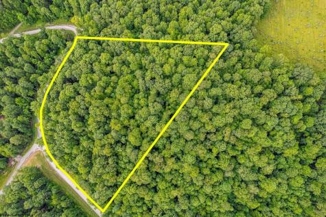 82 Whitewater Parkway Bruceton Mills WV 26525