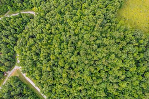 82 Whitewater Parkway Bruceton Mills WV 26525