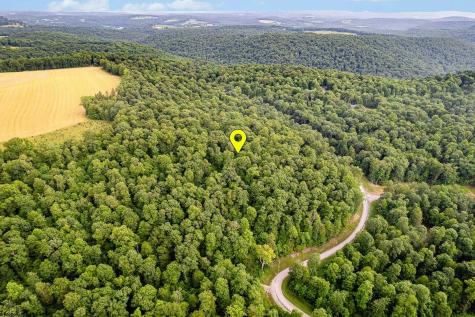 82 Whitewater Parkway Bruceton Mills WV 26525