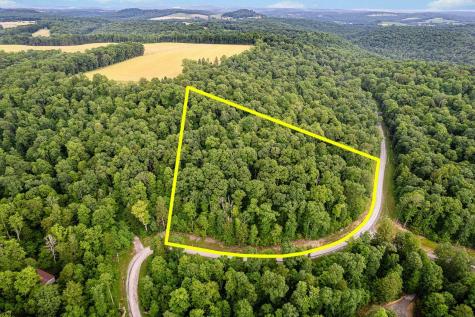 82 Whitewater Parkway Bruceton Mills WV 26525