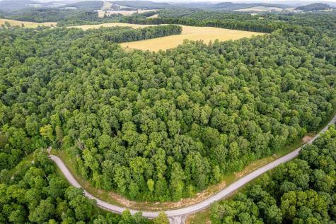 82 Whitewater Parkway Bruceton Mills WV 26525