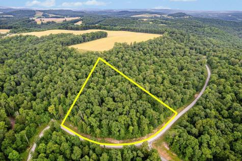 82 Whitewater Parkway Bruceton Mills WV 26525